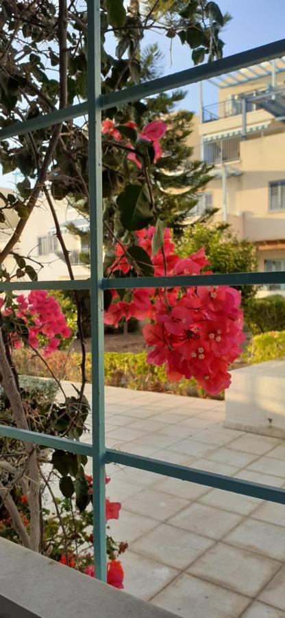 Pelagos Hill Apartment Pafos Dış mekan fotoğraf